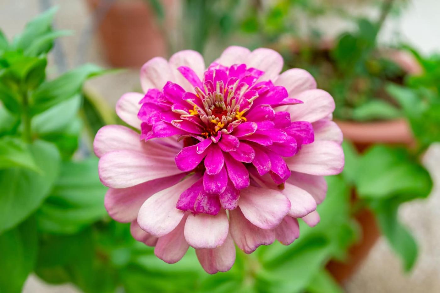 Casa Pescadero Paradise 28